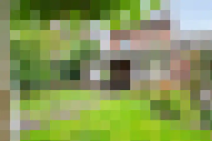 Beekstraat 12 Munstergeleen thumbnail 32
