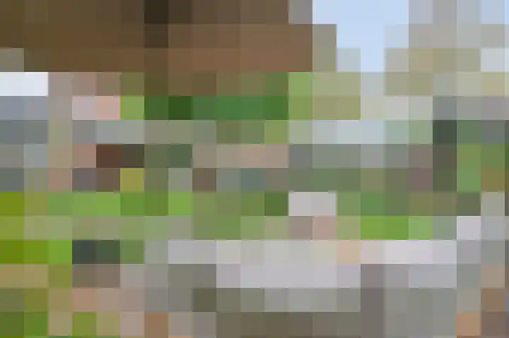 Beekstraat 12 Munstergeleen thumbnail 5