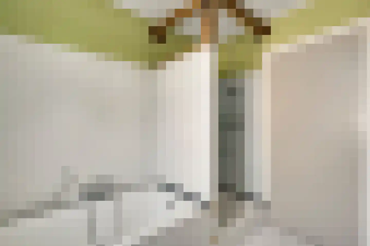 Beekstraat 12 Wessem thumbnail 25