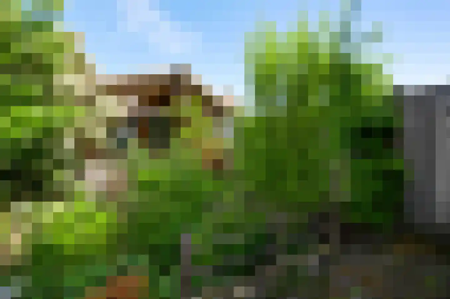 Beekstraat 12 Wessem thumbnail 28
