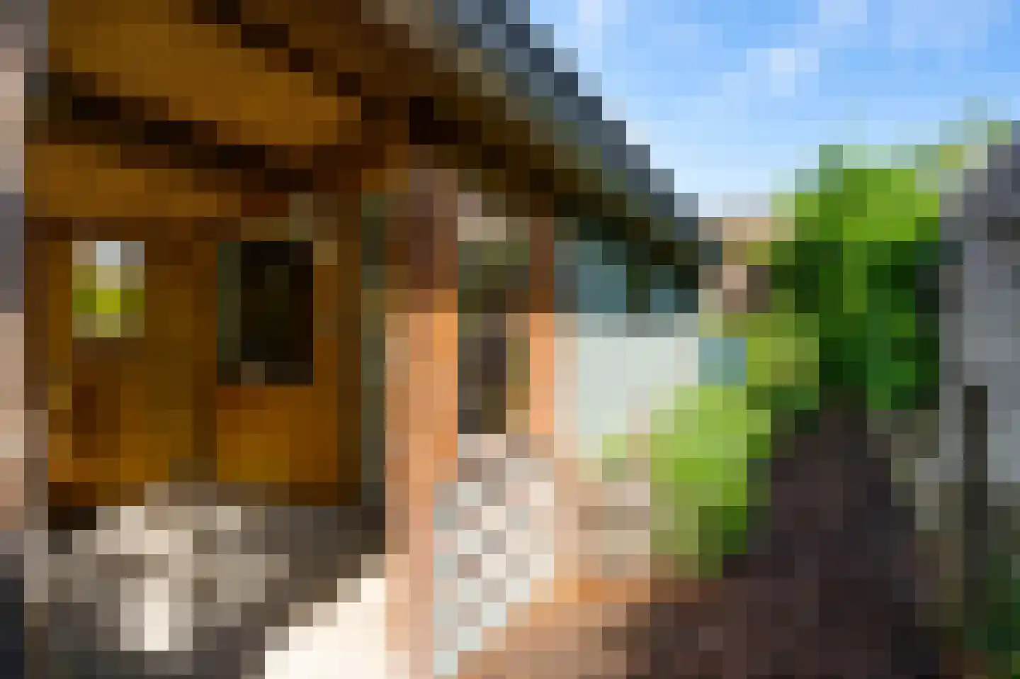 Beekstraat 12 Wessem thumbnail 30