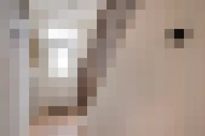 Beekstraat 18 Limbricht thumbnail 4