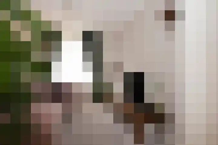 Beekstraat 18 Limbricht thumbnail 7