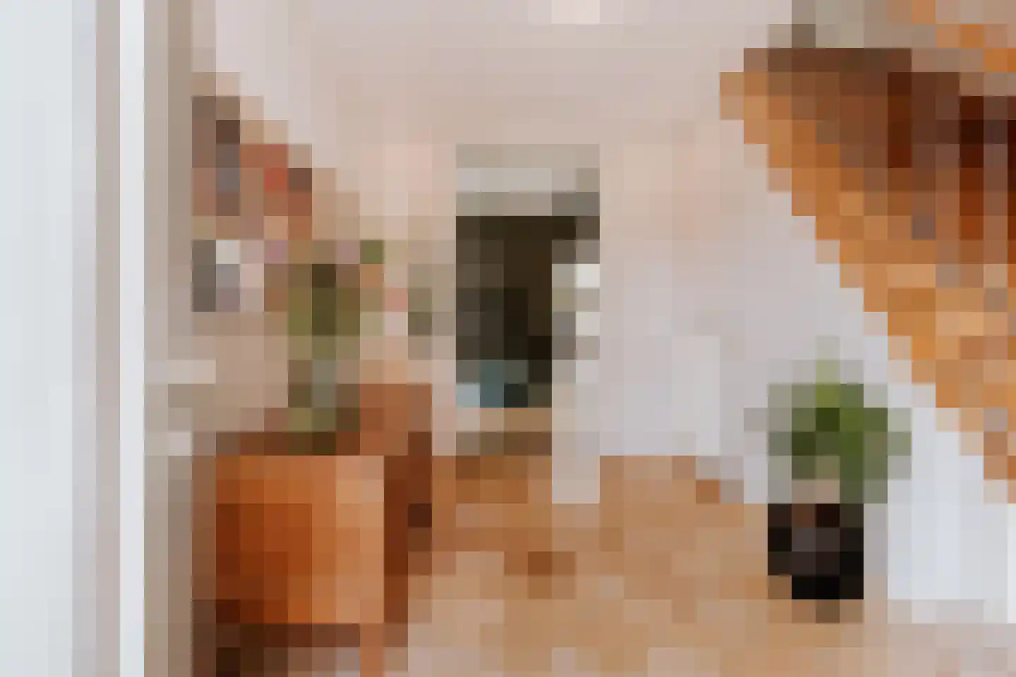 Beekstraat 18 Swalmen thumbnail 10
