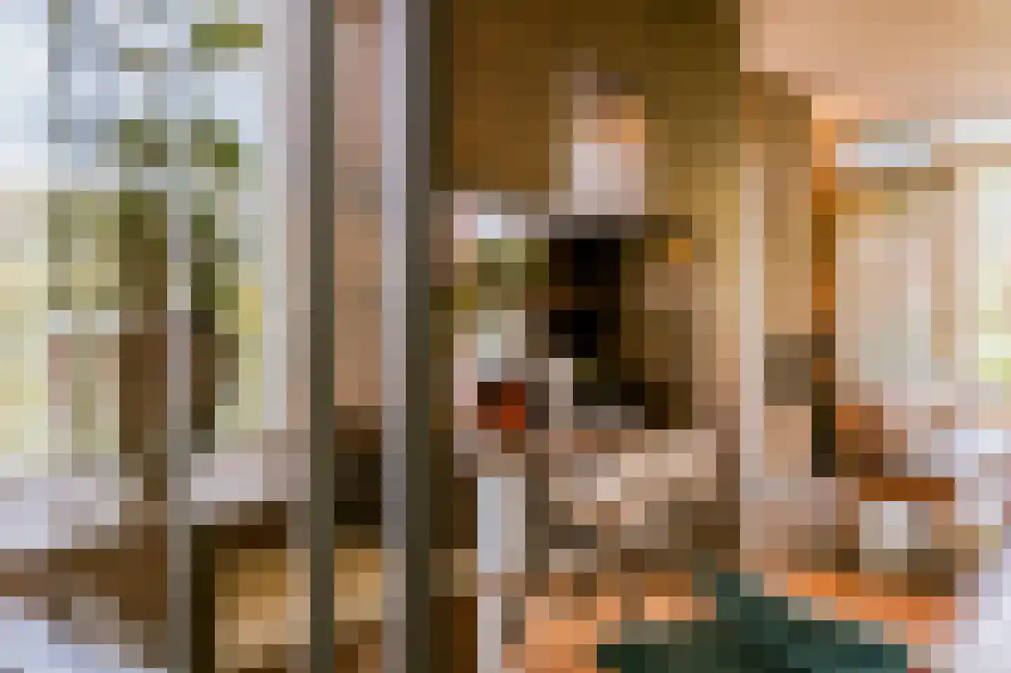 Beekstraat 18 Swalmen thumbnail 12