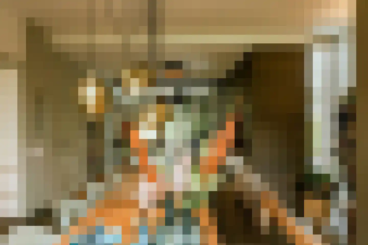 Beekstraat 18 Swalmen thumbnail 20