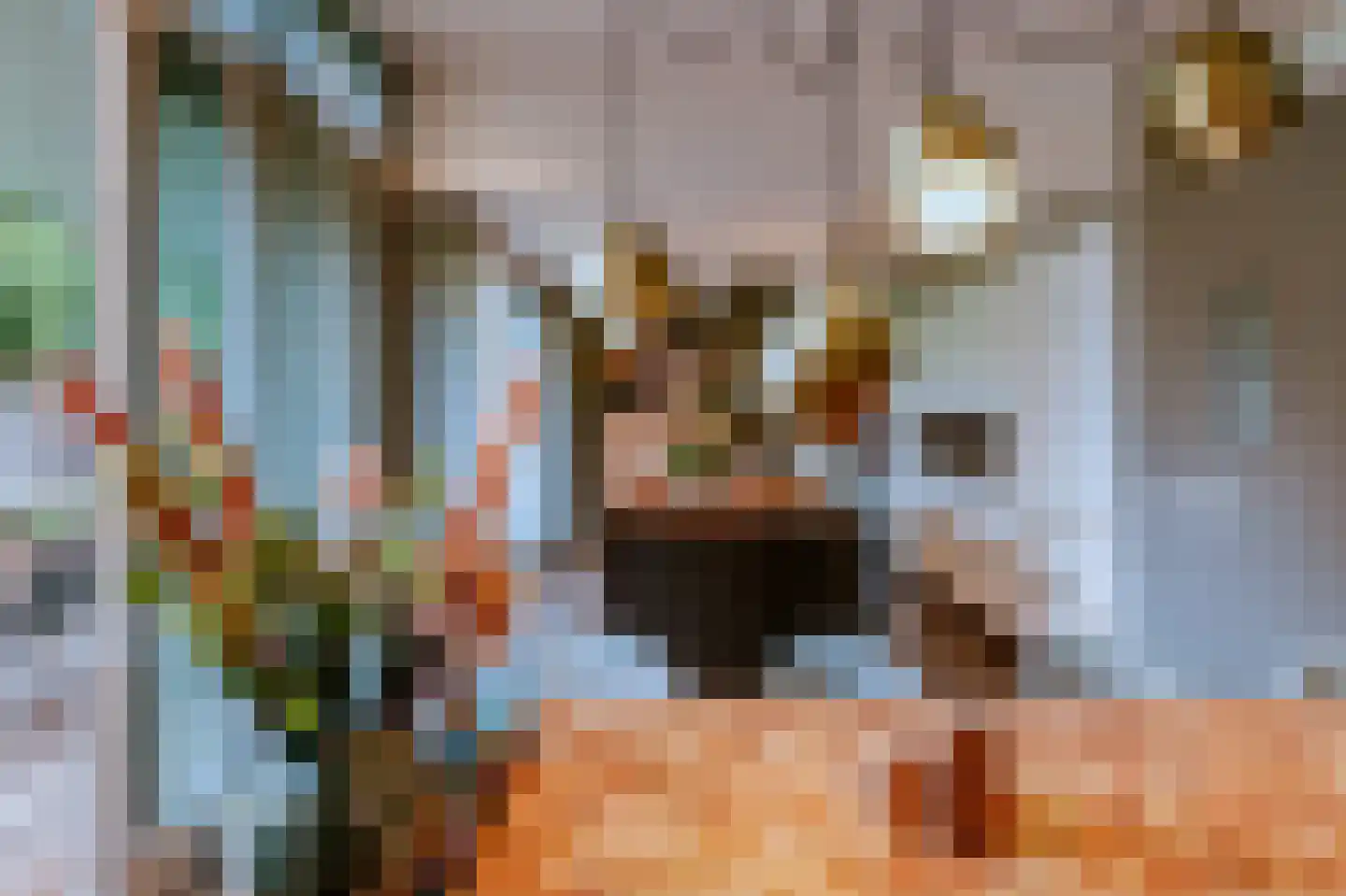 Beekstraat 18 Swalmen thumbnail 26