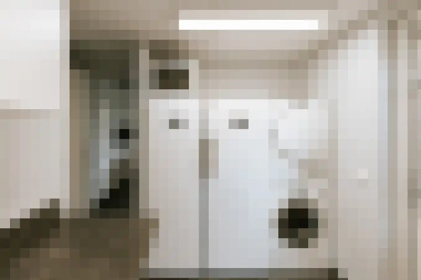 Beekstraat 18 Swalmen thumbnail 34