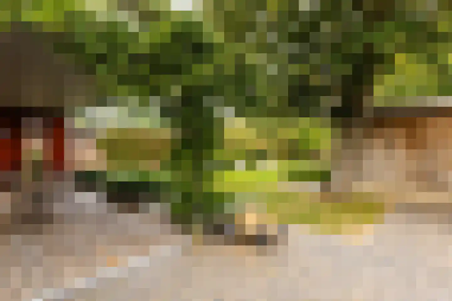 Beekstraat 18 Swalmen thumbnail 39