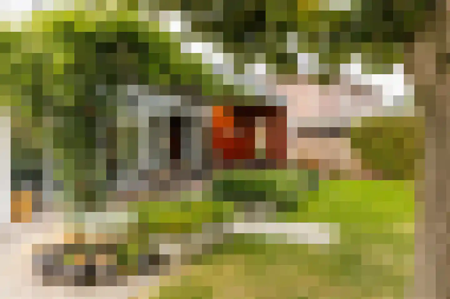 Beekstraat 18 Swalmen thumbnail 40