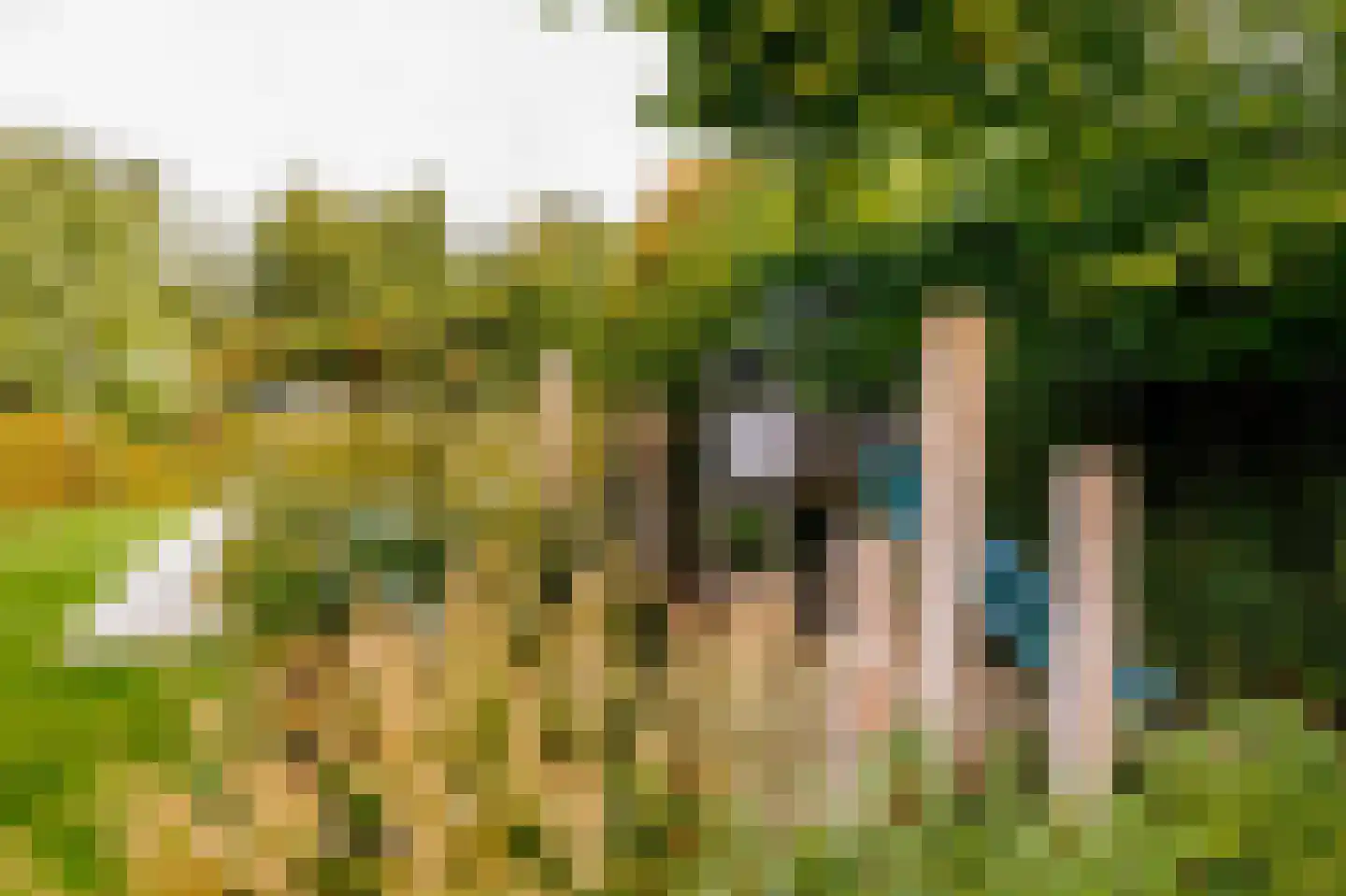 Beekstraat 18 Swalmen thumbnail 49