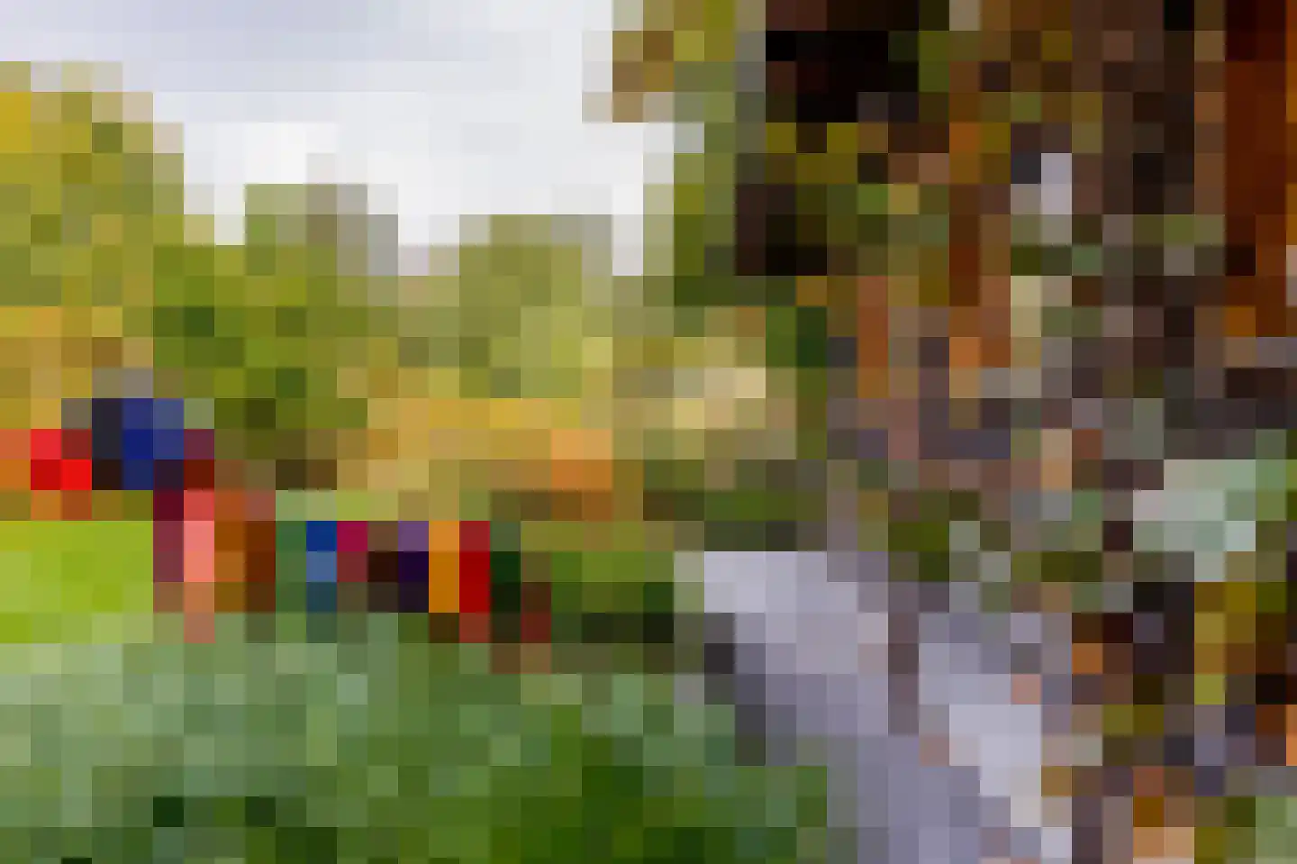 Beekstraat 18 Swalmen thumbnail 50