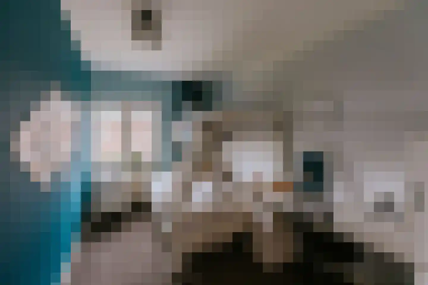 Beekstraat 18 Swalmen thumbnail 63