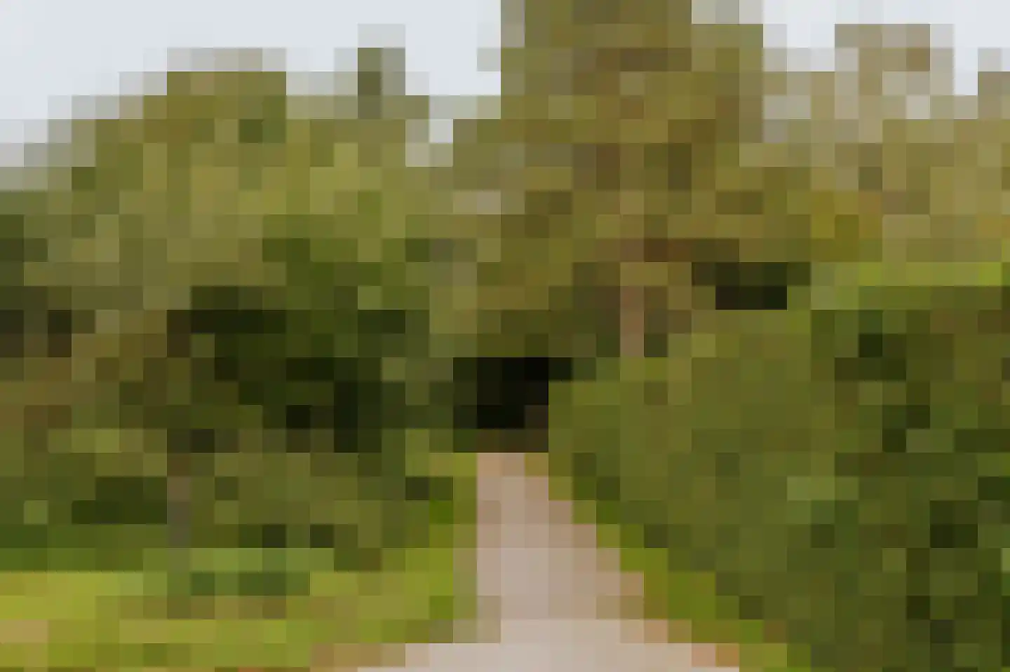 Beekstraat 18 Swalmen thumbnail 73