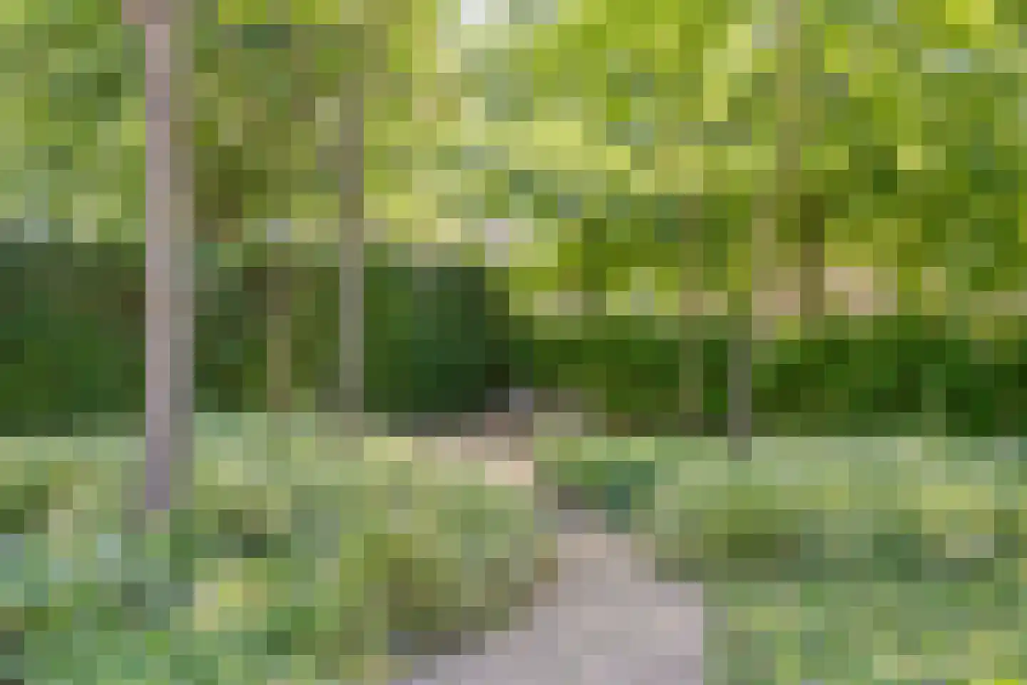 Beekstraat 19 Swalmen thumbnail 24