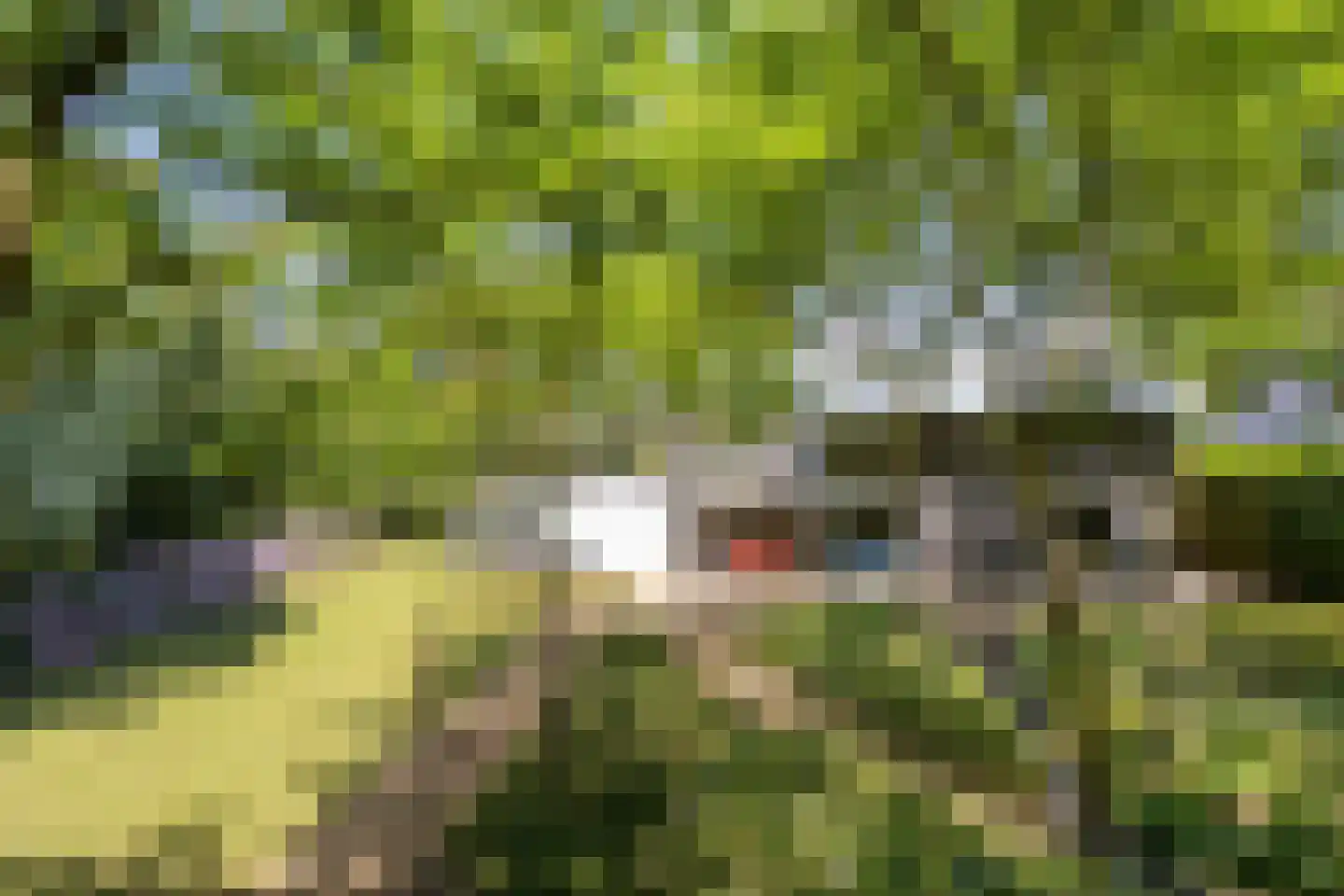 Beekstraat 19 Swalmen thumbnail 31
