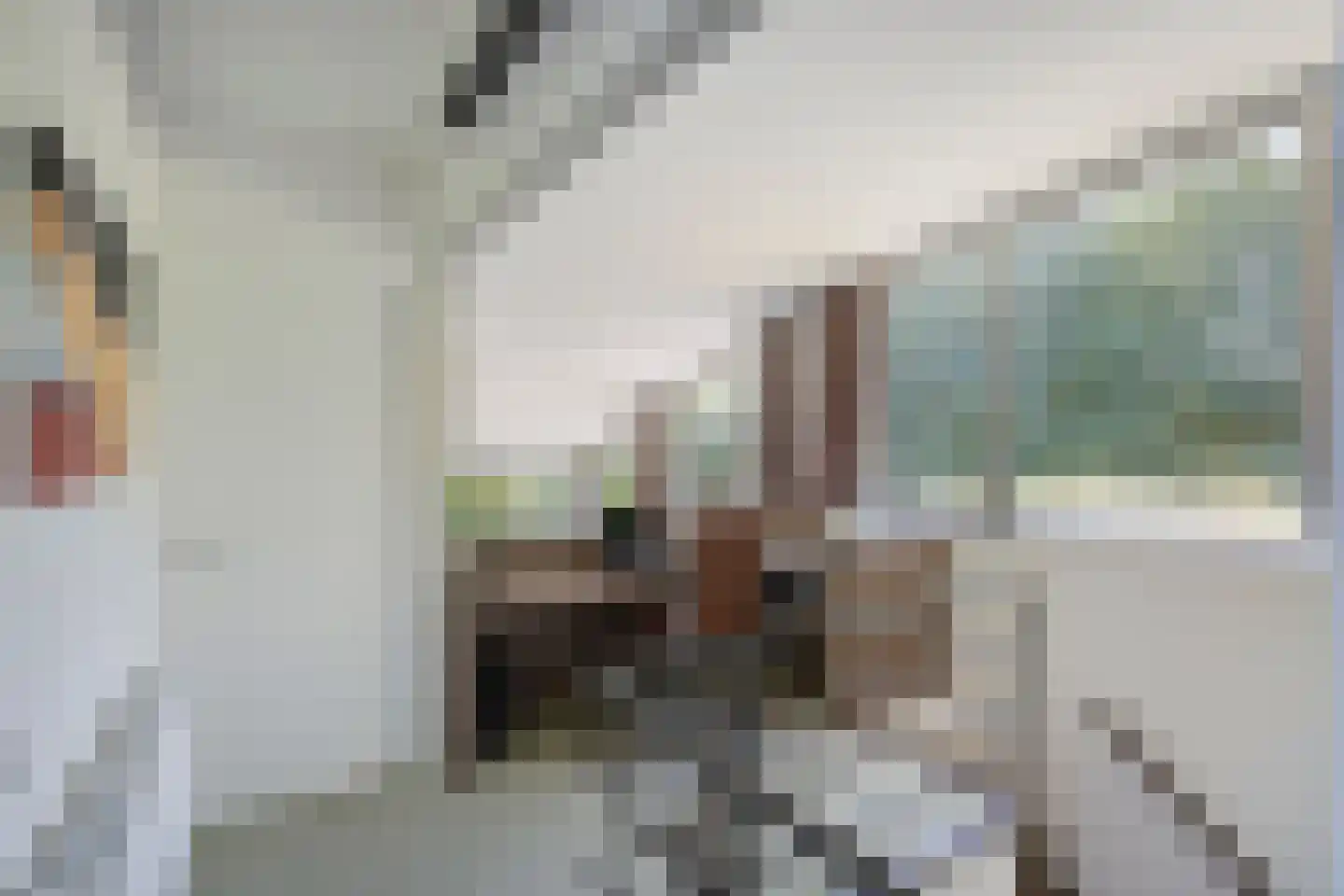 Beekstraat 19 Swalmen thumbnail 41