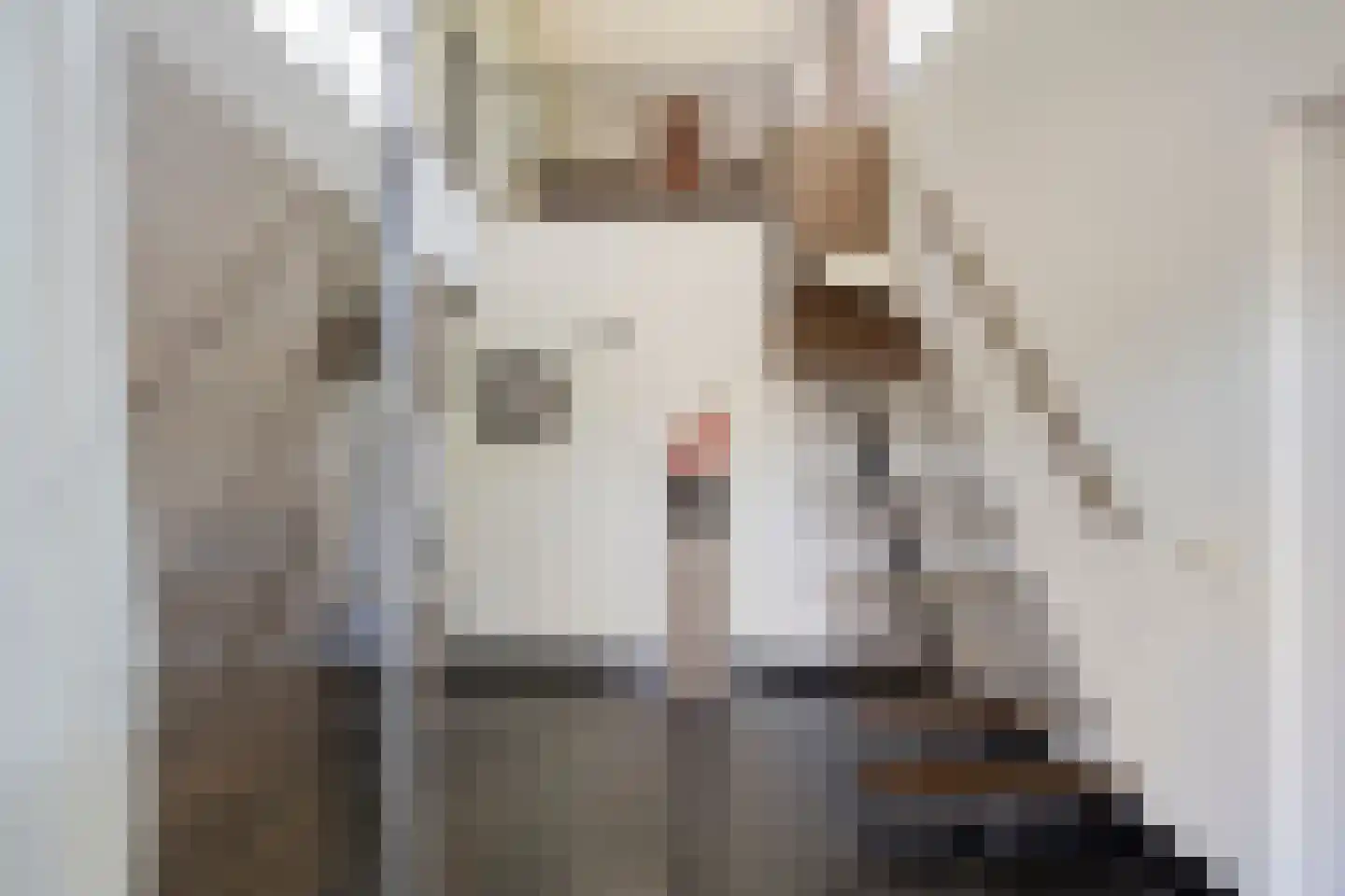 Beekstraat 19 Swalmen thumbnail 5