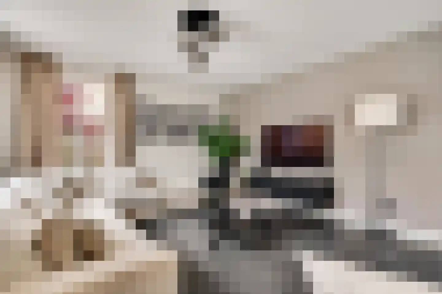 Beekstraat 2 b Soerendonk thumbnail 11