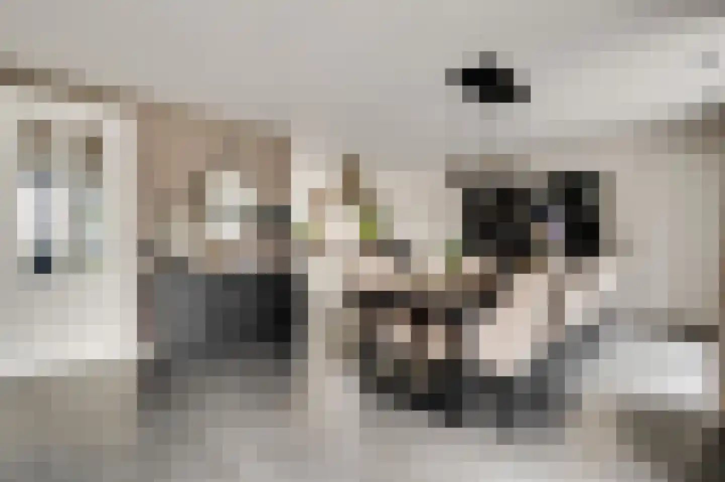 Beekstraat 2 b Soerendonk thumbnail 13