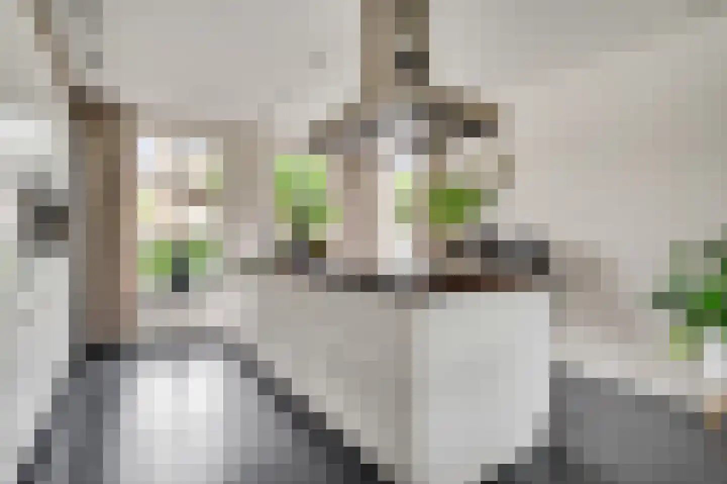 Beekstraat 2 b Soerendonk thumbnail 16