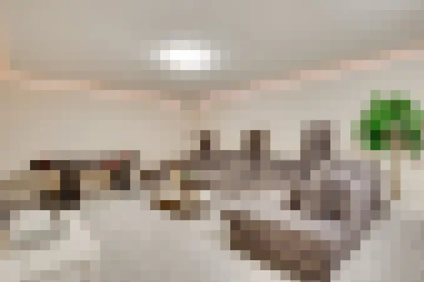 Beekstraat 2 b Soerendonk thumbnail 23