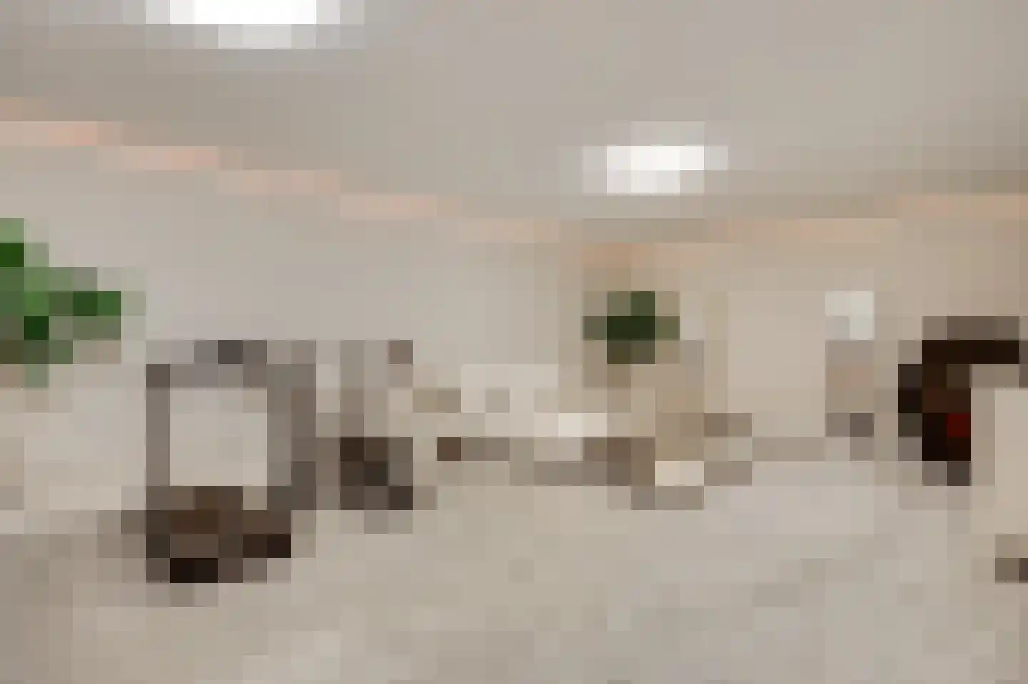 Beekstraat 2 b Soerendonk thumbnail 24