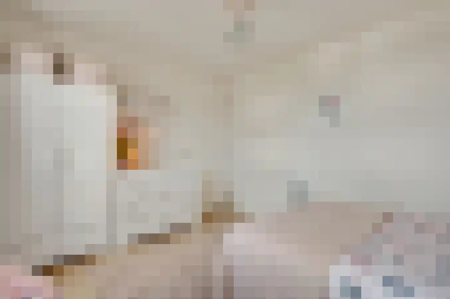 Beekstraat 2 b Soerendonk thumbnail 31