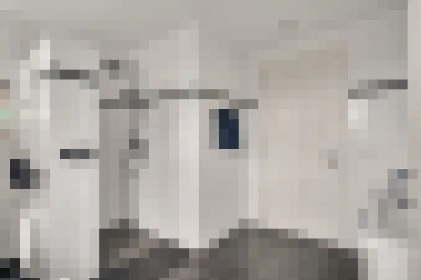 Beekstraat 2 b Soerendonk thumbnail 35