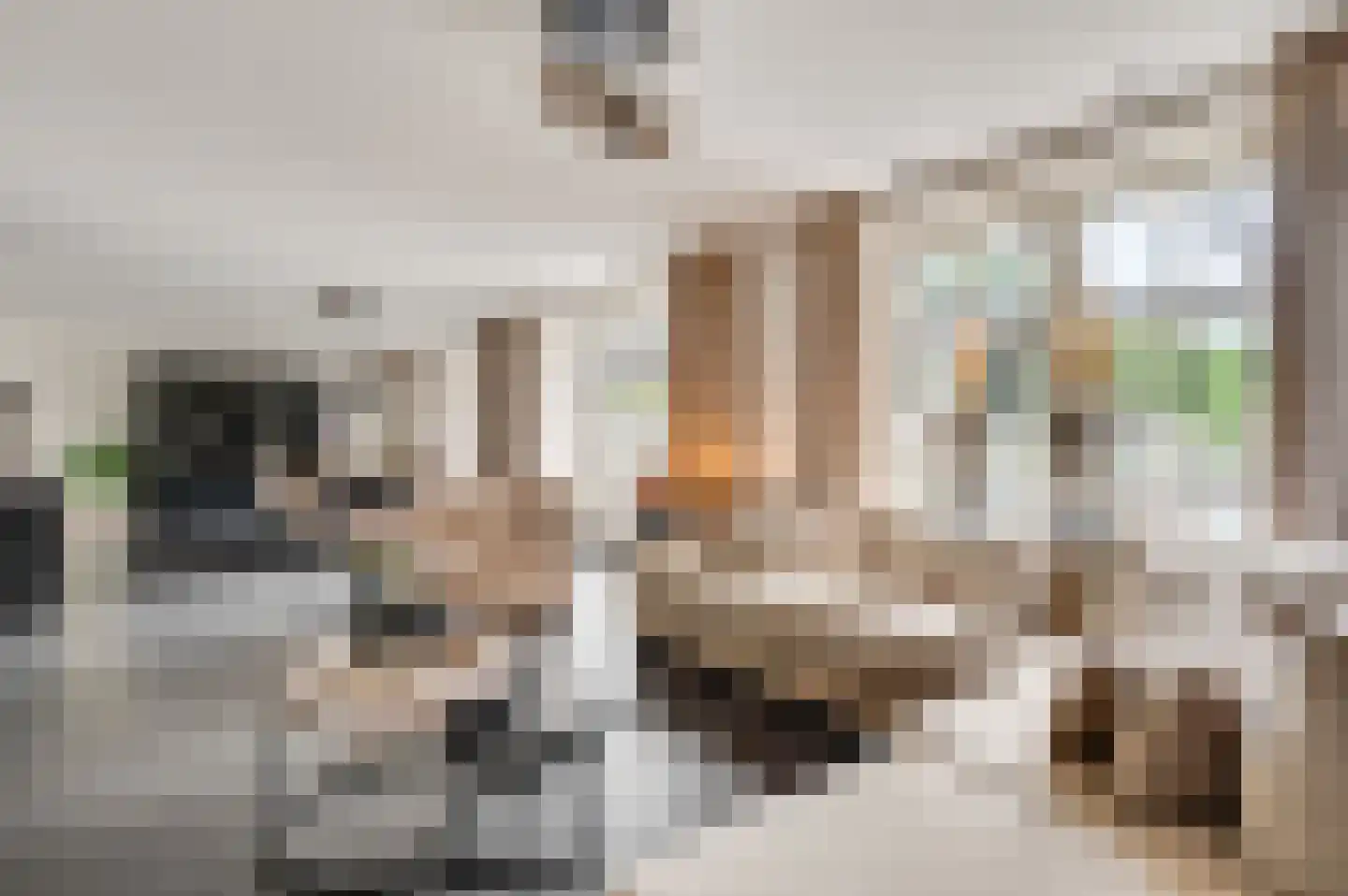 Beekstraat 2 b Soerendonk thumbnail 4