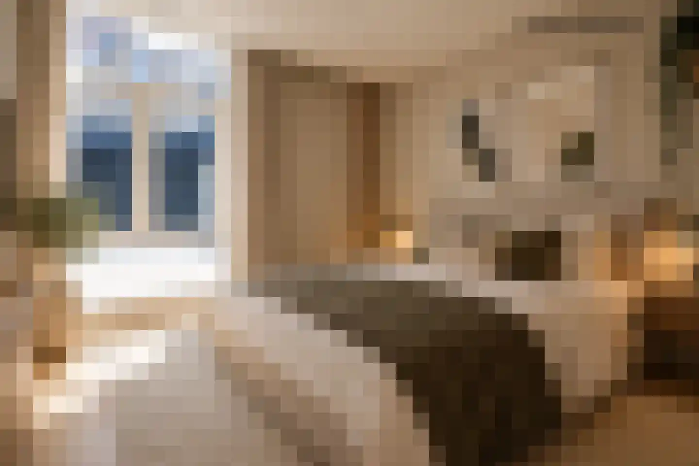 Beekstraat 2 D Weert thumbnail 6