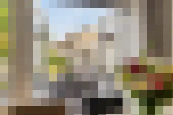 Beekstraat 21 Chaam thumbnail 8