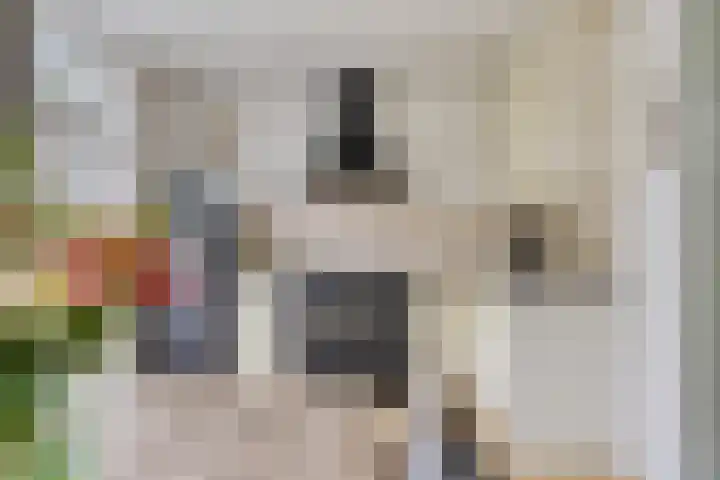Beekstraat 21 Chaam thumbnail 9