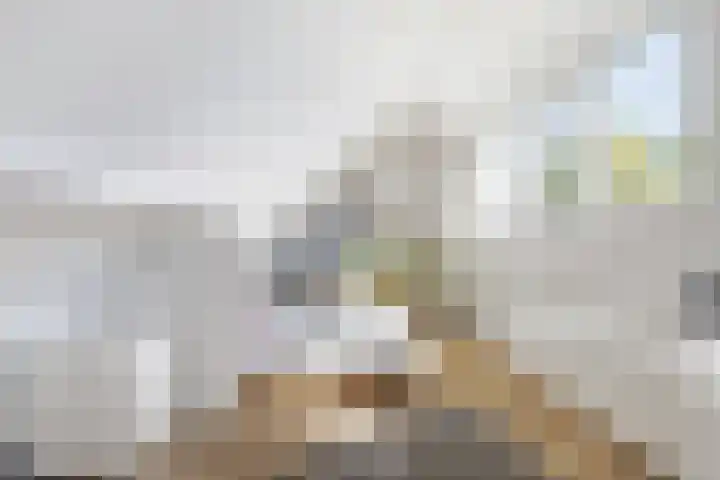 Beekstraat 22 E Nuenen thumbnail 36