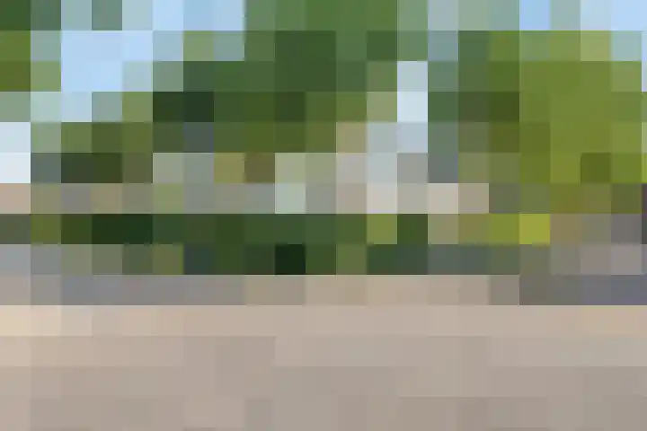 Beekstraat 22 E Nuenen thumbnail 57