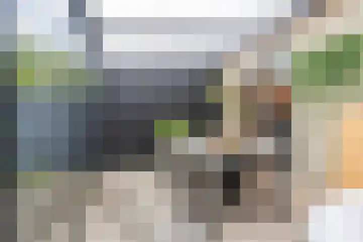 Beekstraat 23 Brunssum thumbnail 18