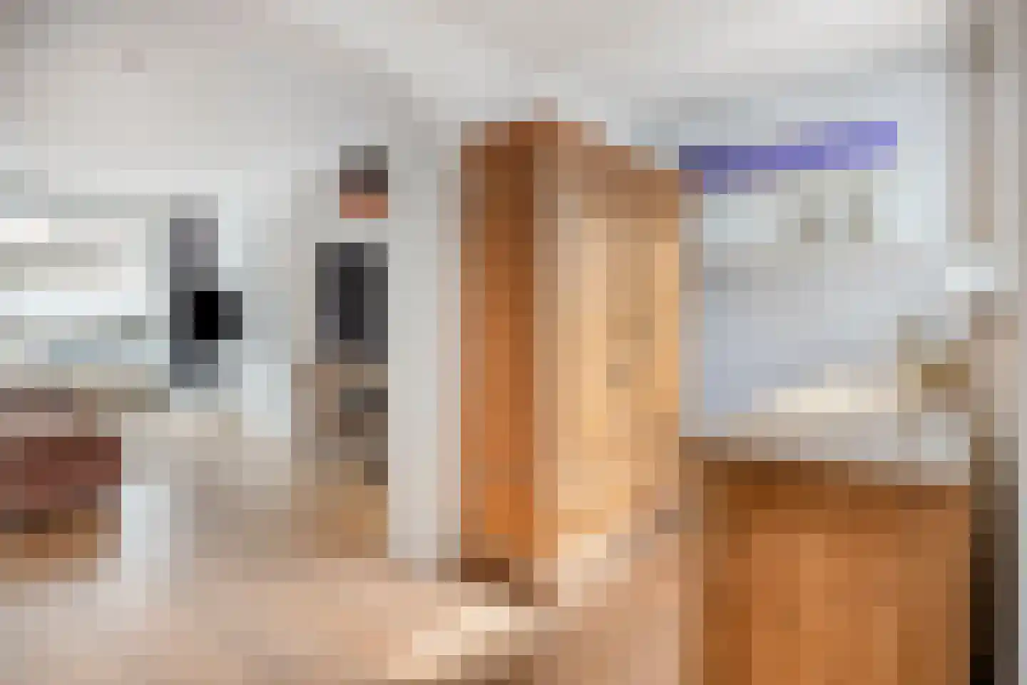 Beekstraat 24 Schinveld thumbnail 20