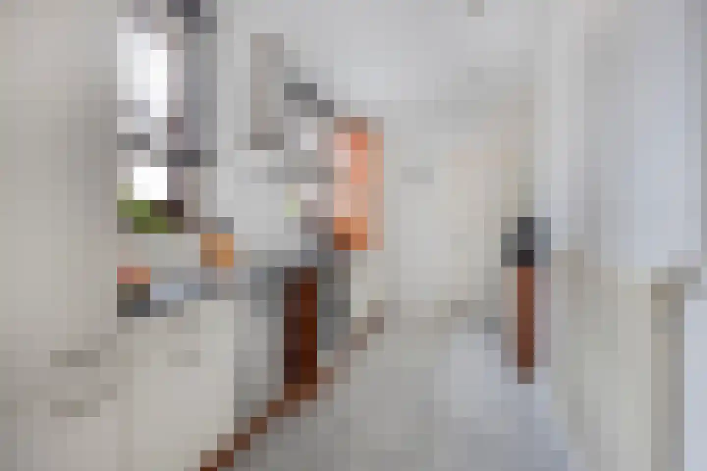 Beekstraat 24 Schinveld thumbnail 22