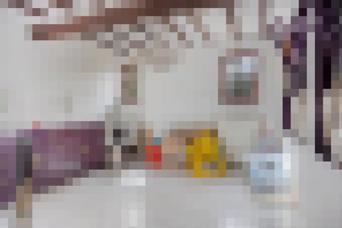 Beekstraat 24 Schinveld thumbnail 25