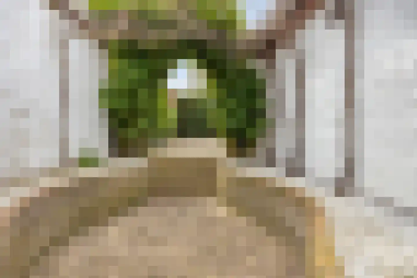 Beekstraat 24 Schinveld thumbnail 33