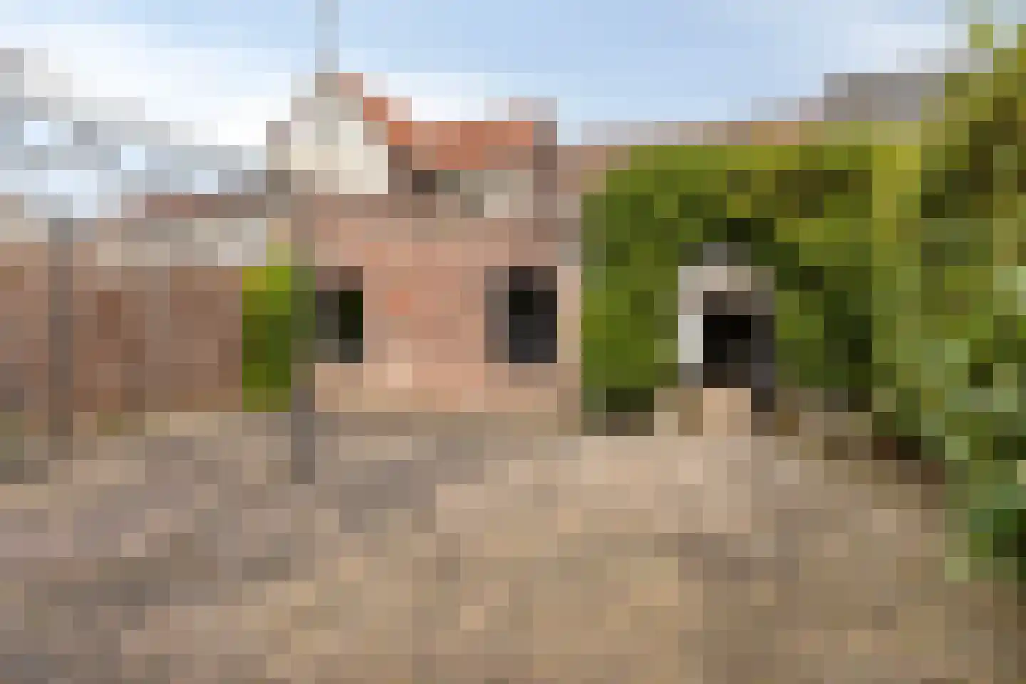 Beekstraat 24 Schinveld thumbnail 34