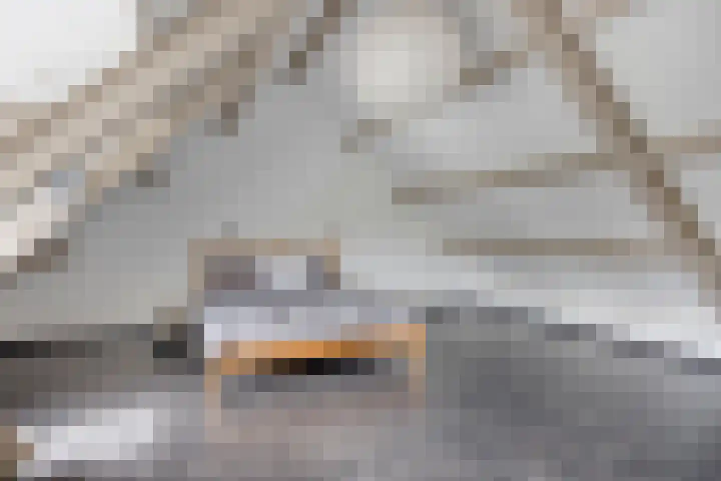 Beekstraat 24 Schinveld thumbnail 4
