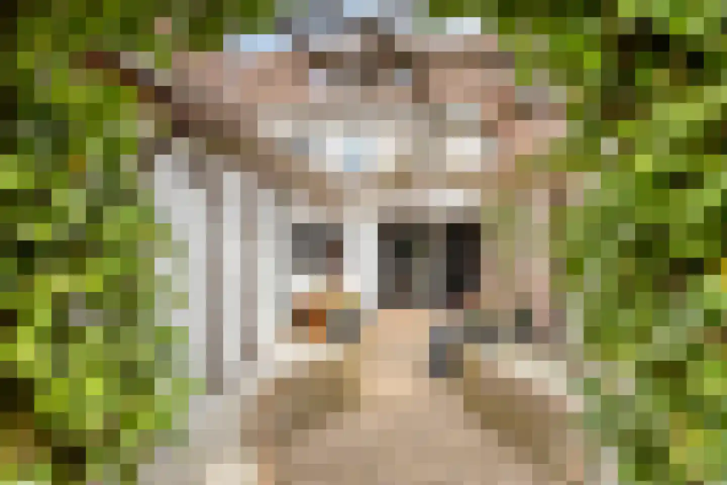 Beekstraat 24 Schinveld thumbnail 5