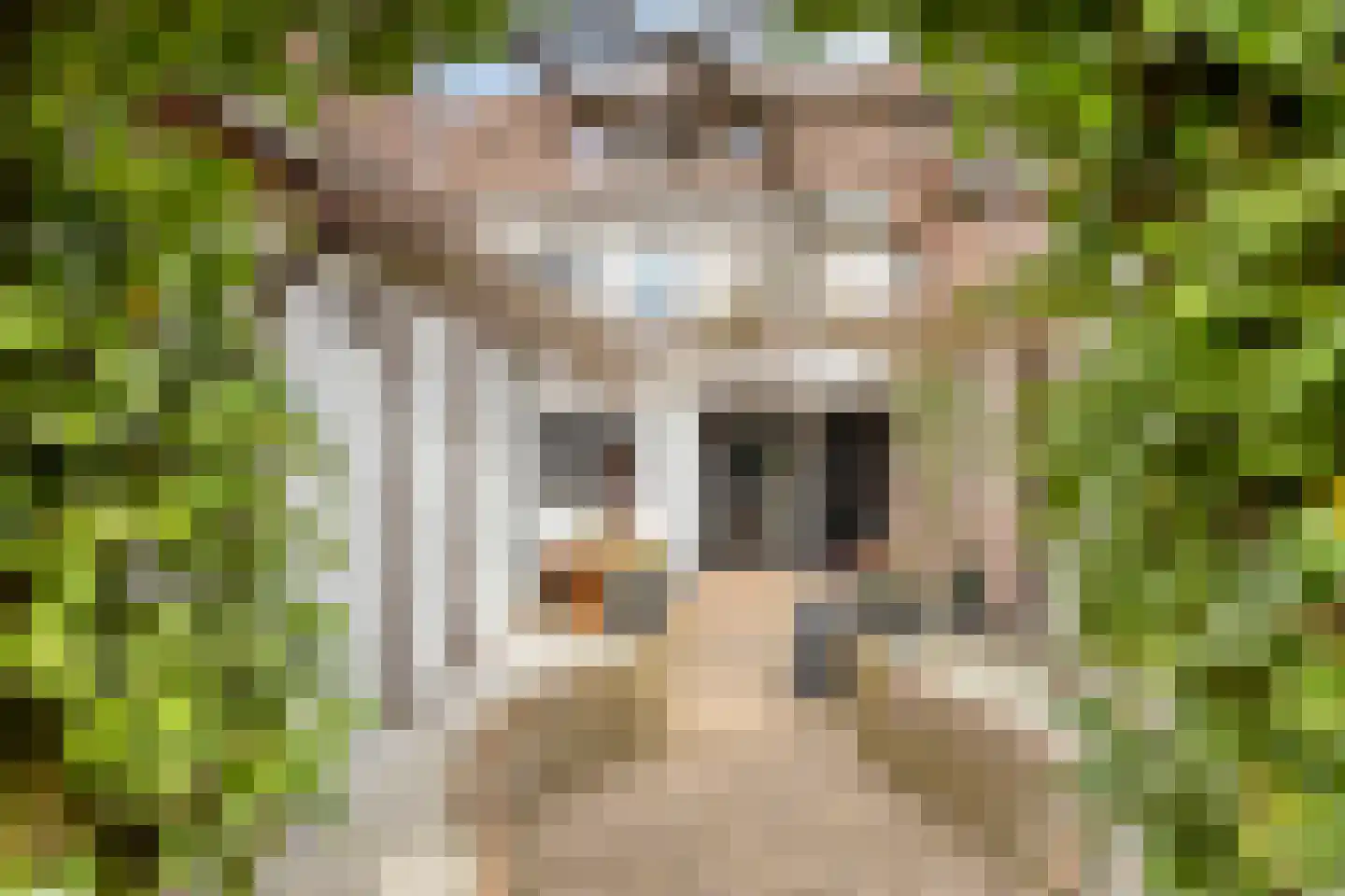 Beekstraat 24 Schinveld thumbnail 5