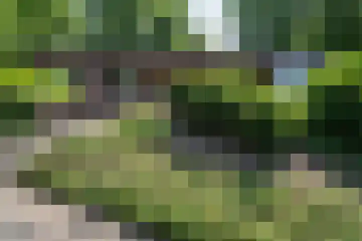 Beekstraat 28 Beesel thumbnail 10