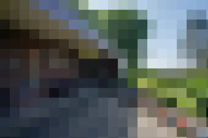Beekstraat 28 Beesel thumbnail 16
