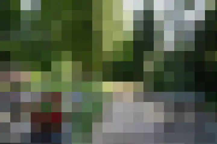 Beekstraat 28 Beesel thumbnail 37