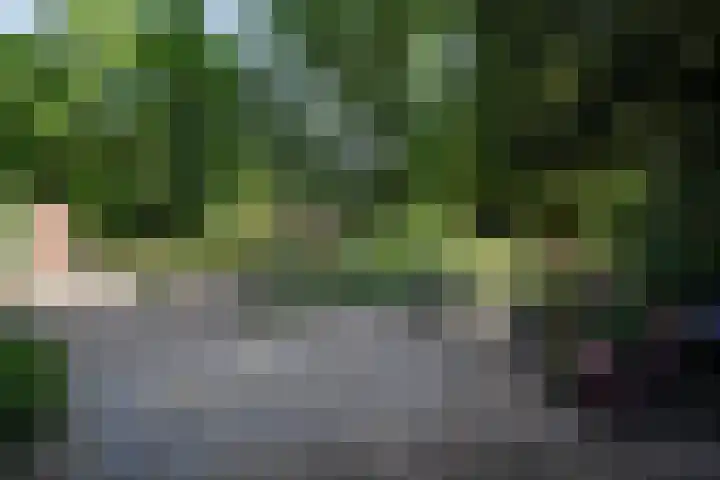Beekstraat 28 Beesel thumbnail 38
