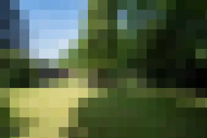 Beekstraat 28 Beesel thumbnail 43