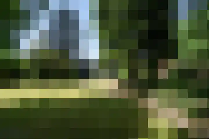 Beekstraat 28 Beesel thumbnail 44